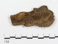 登錄號:F0004989藏品圖，第3張