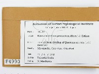 登錄號:F0004990藏品圖，第2張