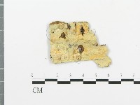 登錄號:F0004990藏品圖，第3張