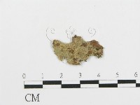 登錄號:F0004991藏品圖，第1張