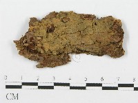 登錄號:F0004992藏品圖，第3張