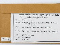 登錄號:F0004993藏品圖，第2張