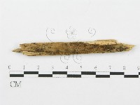 登錄號:F0004993藏品圖，第1張