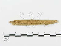 登錄號:F0004993藏品圖，第3張