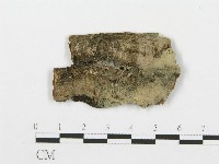 登錄號:F0004994藏品圖，第1張