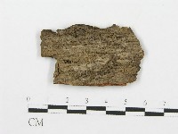 登錄號:F0004994藏品圖，第3張