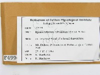 登錄號:F0004996藏品圖，第2張