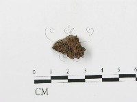 登錄號:F0004996藏品圖，第1張