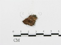 登錄號:F0004996藏品圖，第3張