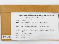 登錄號:F0004997藏品圖，第2張