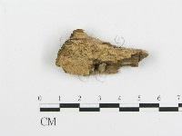 登錄號:F0004997藏品圖，第1張