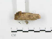 登錄號:F0004997藏品圖，第3張