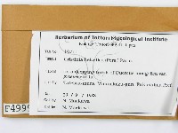 登錄號:F0004999藏品圖，第2張