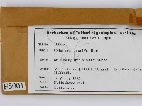登錄號:F0005001藏品圖，第2張