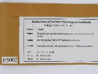 登錄號:F0005002藏品圖，第2張