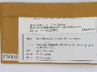 登錄號:F0005005藏品圖，第2張