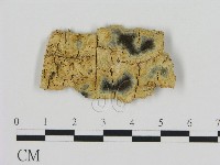 登錄號:F0005005藏品圖，第1張