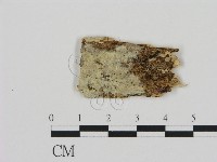 登錄號:F0005006藏品圖，第1張