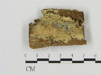 登錄號:F0005008藏品圖，第1張