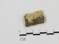 登錄號:F0005009藏品圖，第1張