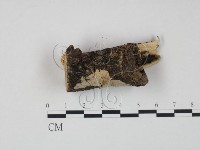 登錄號:F0005010藏品圖，第1張