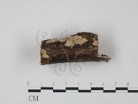 登錄號:F0005010藏品圖，第3張