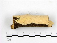 登錄號:F0005012藏品圖，第1張