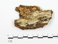 登錄號:F0005014藏品圖，第1張