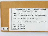 登錄號:F0005015藏品圖，第2張