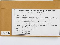 登錄號:F0005016藏品圖，第2張