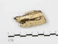 登錄號:F0005017藏品圖，第1張