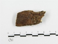 登錄號:F0005017藏品圖，第3張