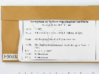 登錄號:F0005018藏品圖，第2張