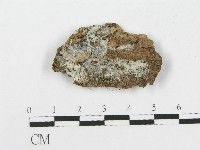 登錄號:F0005018藏品圖，第1張