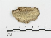 登錄號:F0005018藏品圖，第4張