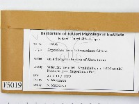 登錄號:F0005019藏品圖，第2張