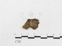 登錄號:F0005019藏品圖，第3張