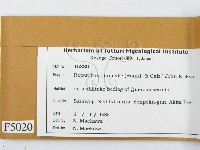 登錄號:F0005020藏品圖，第2張