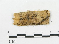 登錄號:F0005020藏品圖，第1張