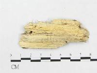 登錄號:F0005021藏品圖，第3張