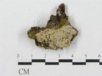 登錄號:F0005022藏品圖，第1張