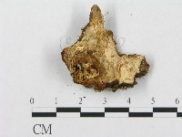 登錄號:F0005022藏品圖，第4張