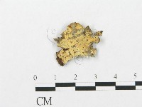 登錄號:F0005023藏品圖，第1張