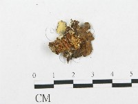 登錄號:F0005023藏品圖，第3張