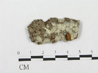 登錄號:F0005024藏品圖，第1張