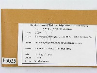 登錄號:F0005025藏品圖，第2張