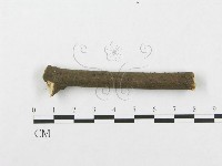 登錄號:F0005025藏品圖，第4張