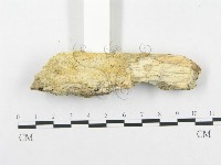 登錄號:F0005026藏品圖，第3張