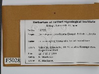 登錄號:F0005028藏品圖，第2張