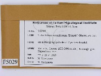 登錄號:F0005029藏品圖，第2張